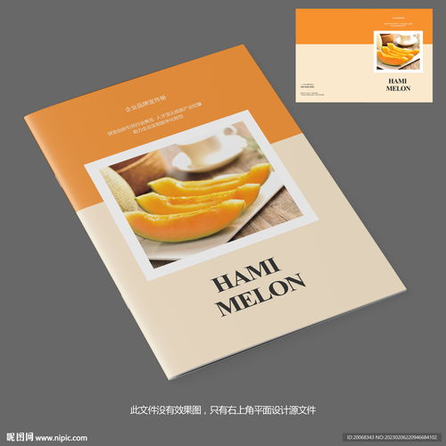 甜蜜之約 哈密瓜產(chǎn)品宣傳畫冊封面設(shè)計(jì)